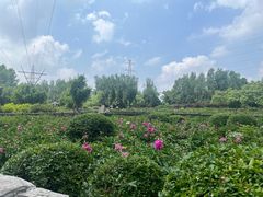 -黑龙江省森林植物园