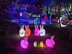 -枫花园汽车电影院(朝阳公园店)