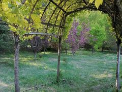 -长春公园(普阳街道)