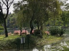 -堤角公园