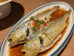 -波螺油子青岛本帮菜(银座店)