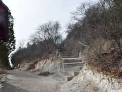 -望湖烤鱼