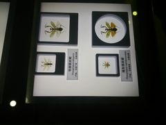 -上海昆虫博物馆