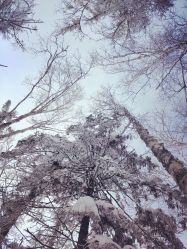 -大秃顶子山