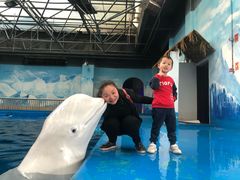 -石林冰雪海洋世界