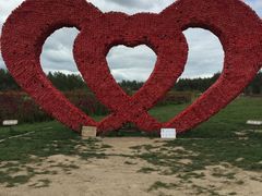 -北纬44度·金珠花海休闲农业旅游景区