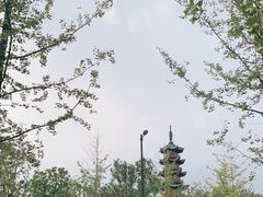-龙华寺