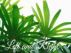 -广州国际生物岛