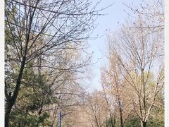 -森林公园(尖草坪区)