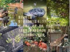 -长鹿旅游休博园