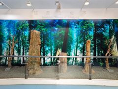 -延庆地质公园博物馆