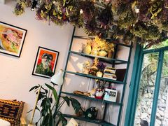 -喵屿·大理花园猫咖