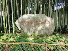 -上海醉白池公园
