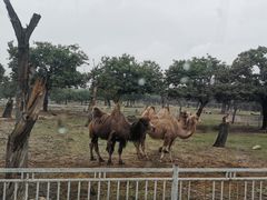 -西安秦岭野生动物园