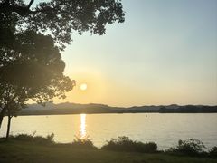 -浙江西子宾馆·瑶园咖啡厅