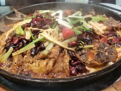 -老板恋上鱼(振华商厦店)