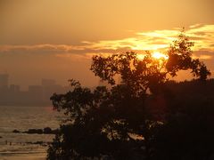 -深圳湾公园(南山区)