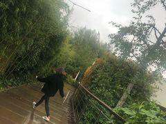 -伦敦比斯特购物村