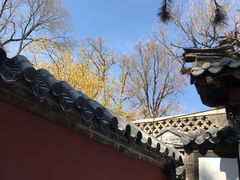 -泰山风景名胜区-普照寺