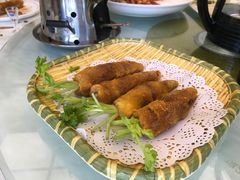-丁老爷子苏香圆