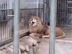-青岛动物园