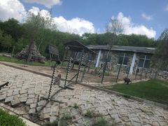 -哈尔滨北方森林动物园