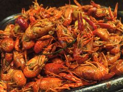 -爱乐国际温泉水疗会