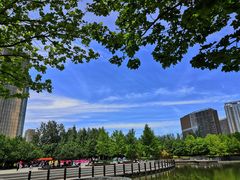 -大望京公园