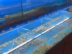 -太湖饭店玉兰厅(自助餐厅)