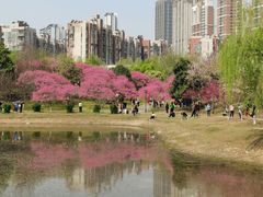 -堤角公园