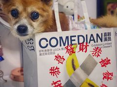 -好利来(牡丹园店)