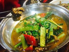 黄瓜炖黄鳝-陈帅夜排档·龙虾·炒菜·烤串(世茂店)
