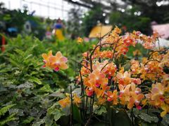 -兰陵国家农业公园