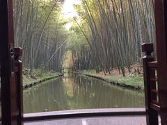 -同里国家湿地公园