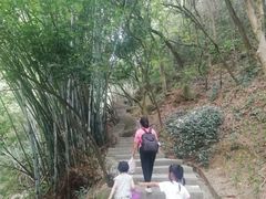 -火炉山森林公园