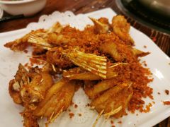 -正能量脆肉鲩火锅
