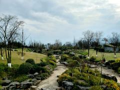 -铁山坪森林公园