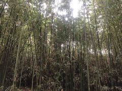 -浮来山风景区