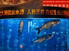 -潇湘码头·鲜湘菜(清河店)
