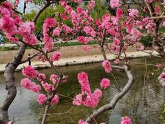 -元大都城垣遗址公园