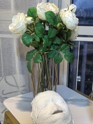 -演员的秘密·皮肤管理