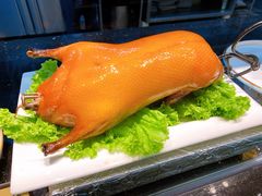 -骏莱海鲜鱼港(五角场店)