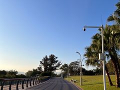 -深圳湾公园(南山区)