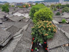 -中天楼