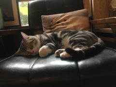 -咖法森林·咖啡  酒吧(天河店)