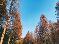 -南京市无想山景区