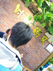 -雅梵伊容·护肤·造型