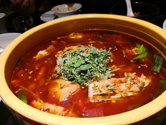 耗儿鱼-陈麻婆豆腐总店