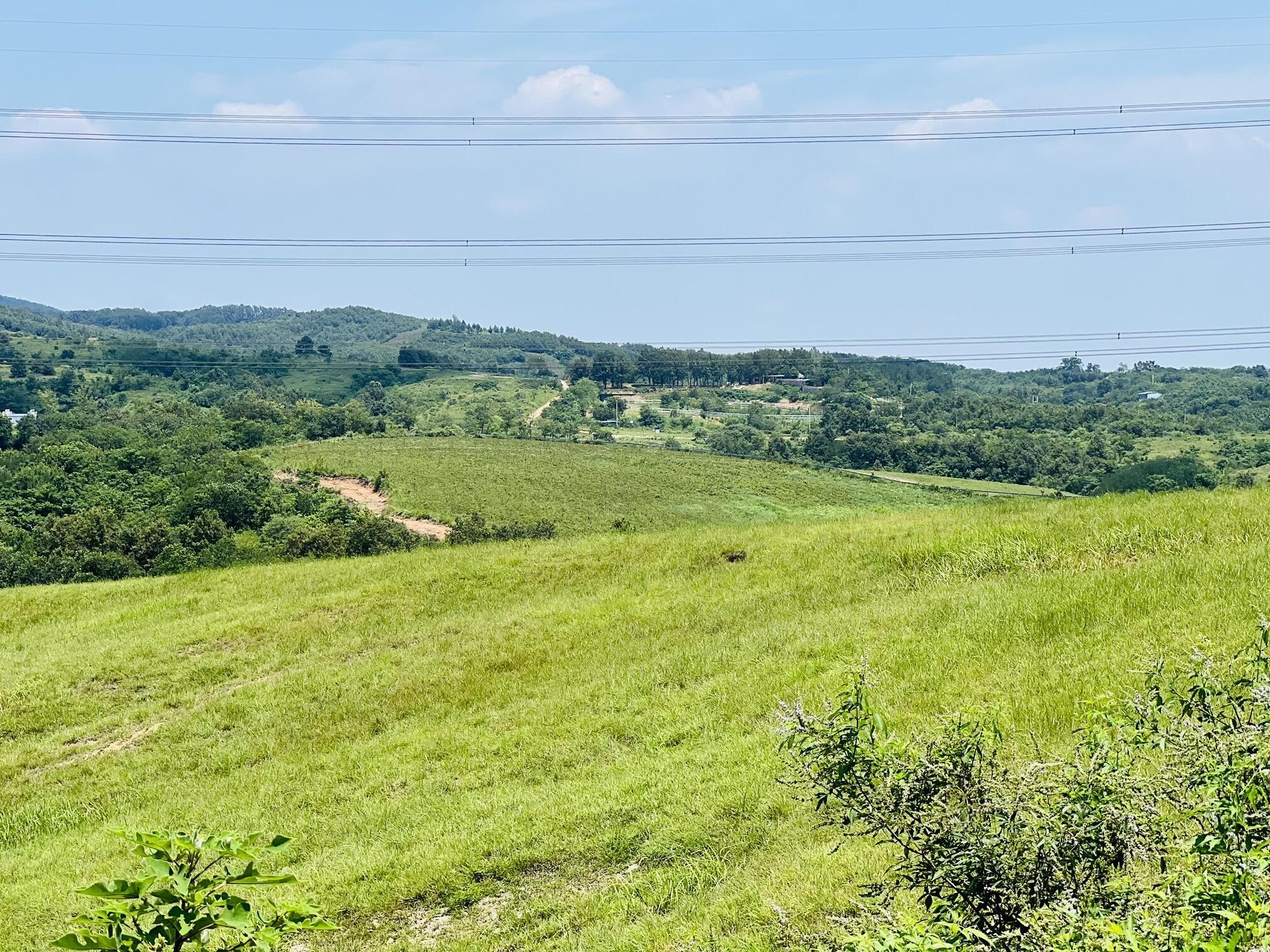 南京出发|电车自驾每周玩一地儿