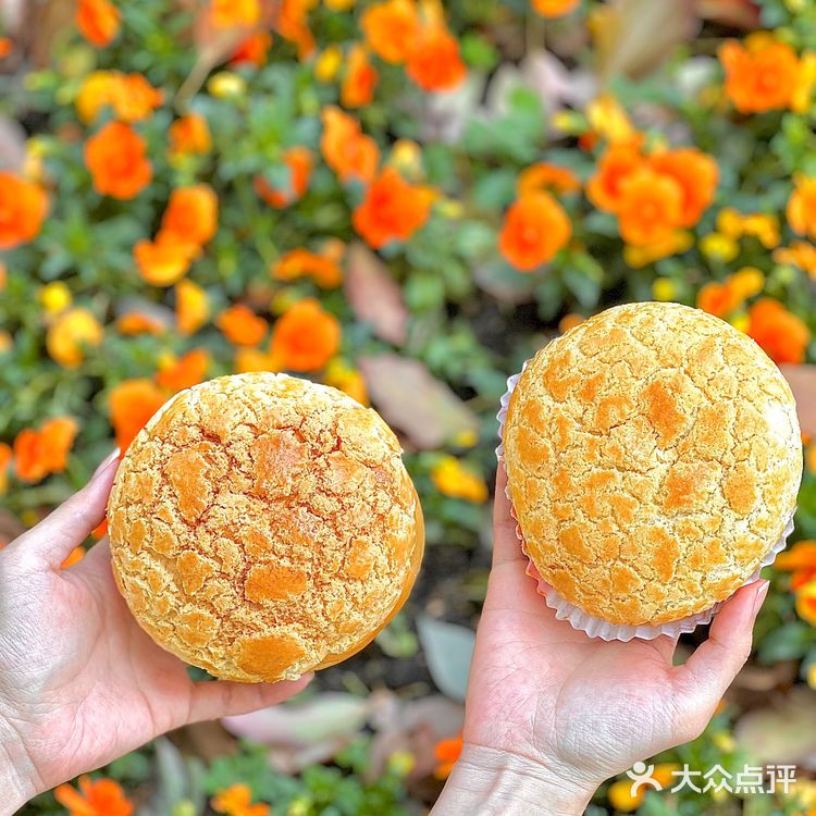 魔都现烤菠萝包🥯都给我去🐛